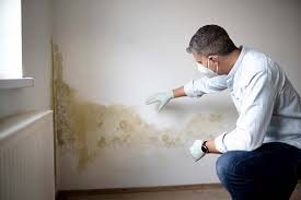 Best Commercial Mold Inspection  in Liverpool, NY